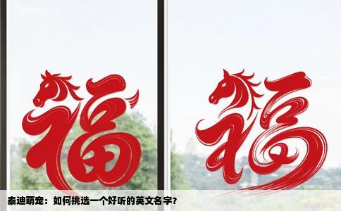 泰迪萌宠：如何挑选一个好听的英文名字？