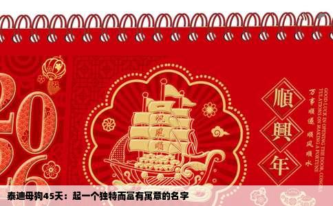 泰迪母狗45天：起一个独特而富有寓意的名字