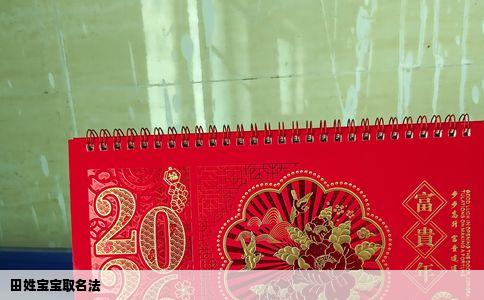 田姓宝宝取名法