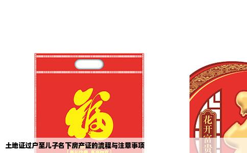 土地证过户至儿子名下房产证的流程与注意事项