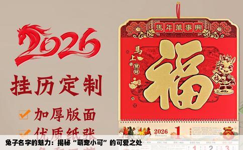 兔子名字的魅力：揭秘“萌宠小可”的可爱之处