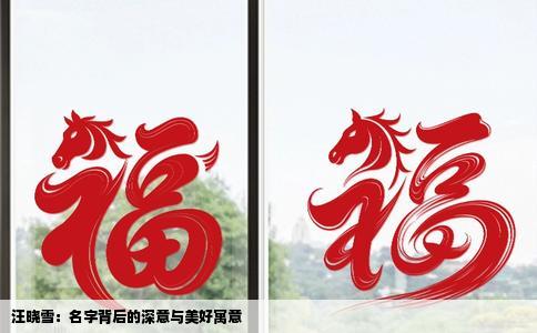 汪晓雪：名字背后的深意与美好寓意