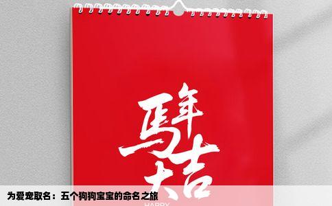 为爱宠取名：五个狗狗宝宝的命名之旅