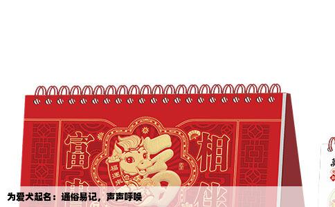 为爱犬起名：通俗易记，声声呼唤