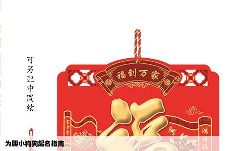 为胆小狗狗起名指南