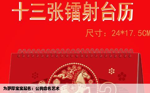 为萨摩宝宝起名：公狗命名艺术