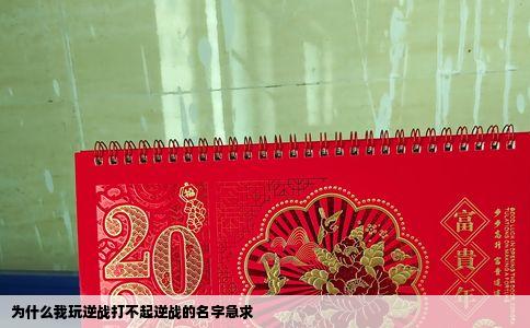 为什么我玩逆战打不起逆战的名字急求