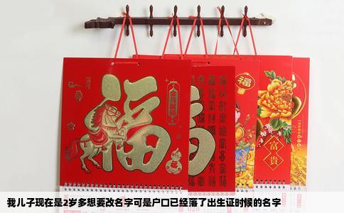 我儿子现在是2岁多想要改名字可是户口已经落了出生证时候的名字
