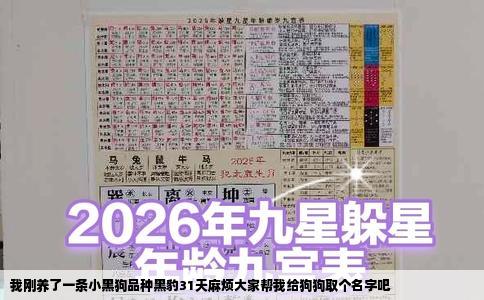 我刚养了一条小黑狗品种黑豹31天麻烦大家帮我给狗狗取个名字吧