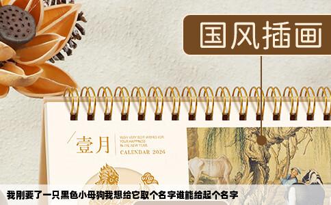 我刚要了一只黑色小母狗我想给它取个名字谁能给起个名字