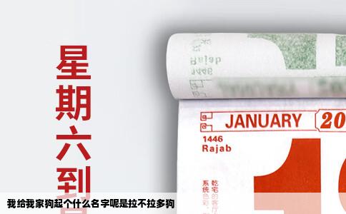 我给我家狗起个什么名字呢是拉不拉多狗