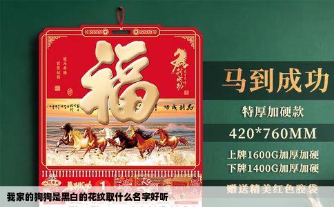 我家的狗狗是黑白的花纹取什么名字好听