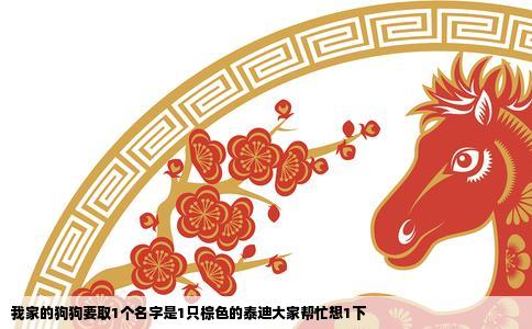 我家的狗狗要取1个名字是1只棕色的泰迪大家帮忙想1下