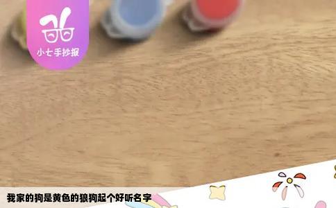 我家的狗是黄色的狼狗起个好听名字