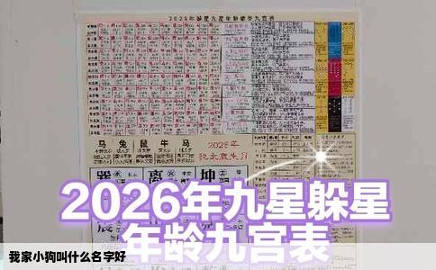 我家小狗叫什么名字好