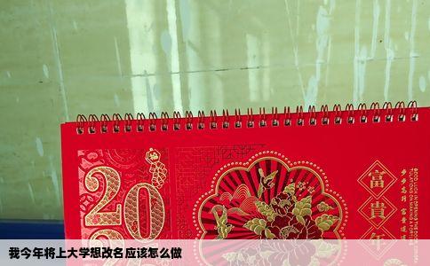 我今年将上大学想改名应该怎么做
