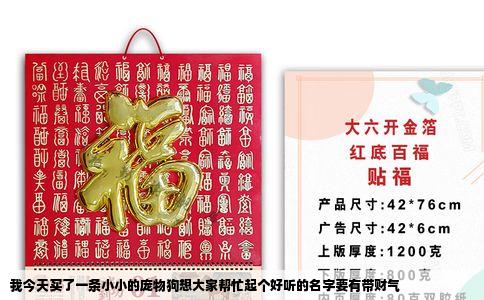 我今天买了一条小小的庞物狗想大家帮忙起个好听的名字要有带财气