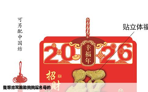 我想给双胞胎狗狗起名母的