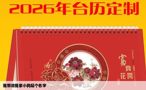 我想给我家小狗起个名字