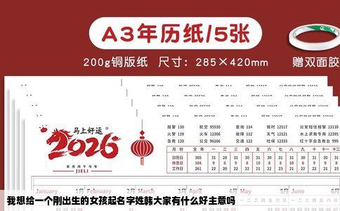 我想给一个刚出生的女孩起名字姓韩大家有什么好主意吗