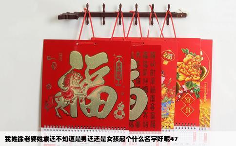 我姓徐老婆姓袁还不知道是男还还是女孩起个什么名字好呢47