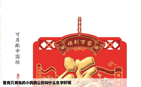 我有只黄色的小狗狗公的叫什么名字好呢