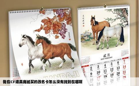 我在CF道具商城买的改名卡怎么没有找到在哪啊