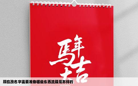 现在改名字需要准备哪些东西流程是怎样的