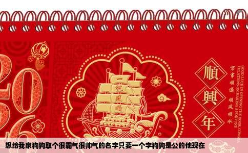 想给我家狗狗取个很霸气很帅气的名字只要一个字狗狗是公的他现在