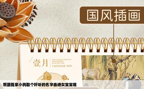 想跟我家小狗取个好听的名字泰迪女宝宝哦