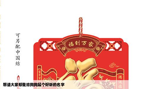 想请大家帮我给狗狗起个好听的名字