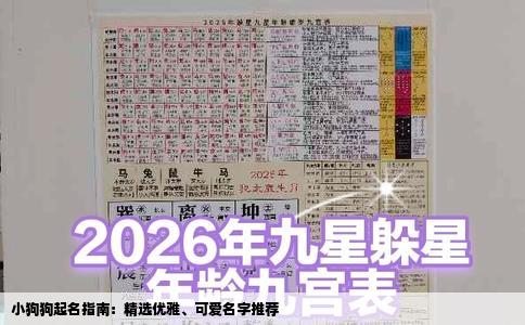 小狗狗起名指南：精选优雅、可爱名字推荐