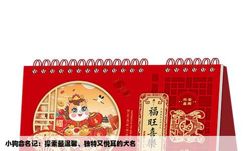 小狗命名记：探索最温馨、独特又悦耳的犬名