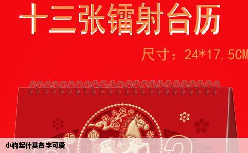 小狗起什莫名字可爱