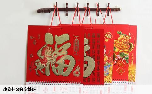 小狗什么名字好听