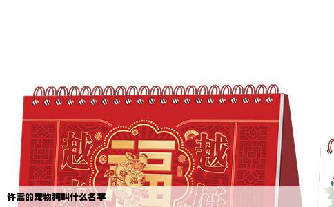 许嵩的宠物狗叫什么名字