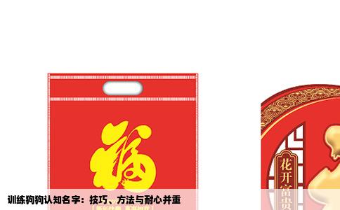 训练狗狗认知名字：技巧、方法与耐心并重