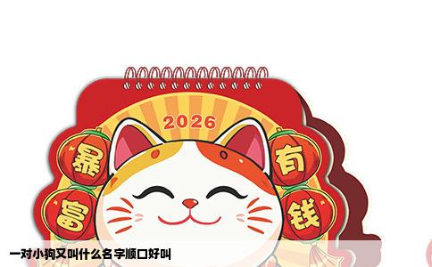 一对小狗又叫什么名字顺口好叫