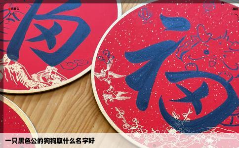 一只黑色公的狗狗取什么名字好