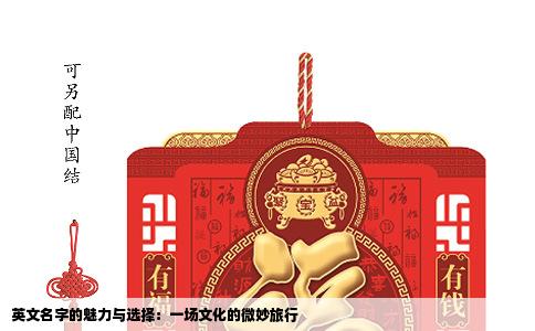 英文名字的魅力与选择：一场文化的微妙旅行