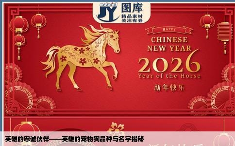 英雄的忠诚伙伴——英雄的宠物狗品种与名字揭秘