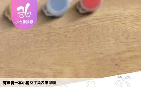 有没有一本小说女主角名字温暖
