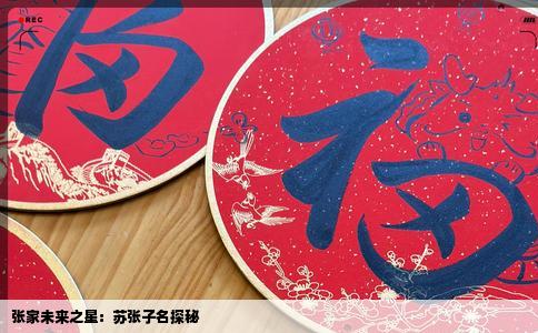 张家未来之星：苏张子名探秘