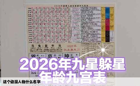 这个动漫人物什么名字