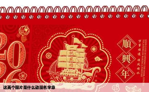 这两个图片是什么动漫名字急