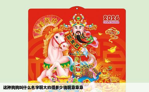 这种狗狗叫什么名字啊大约得多少钱啊急急急